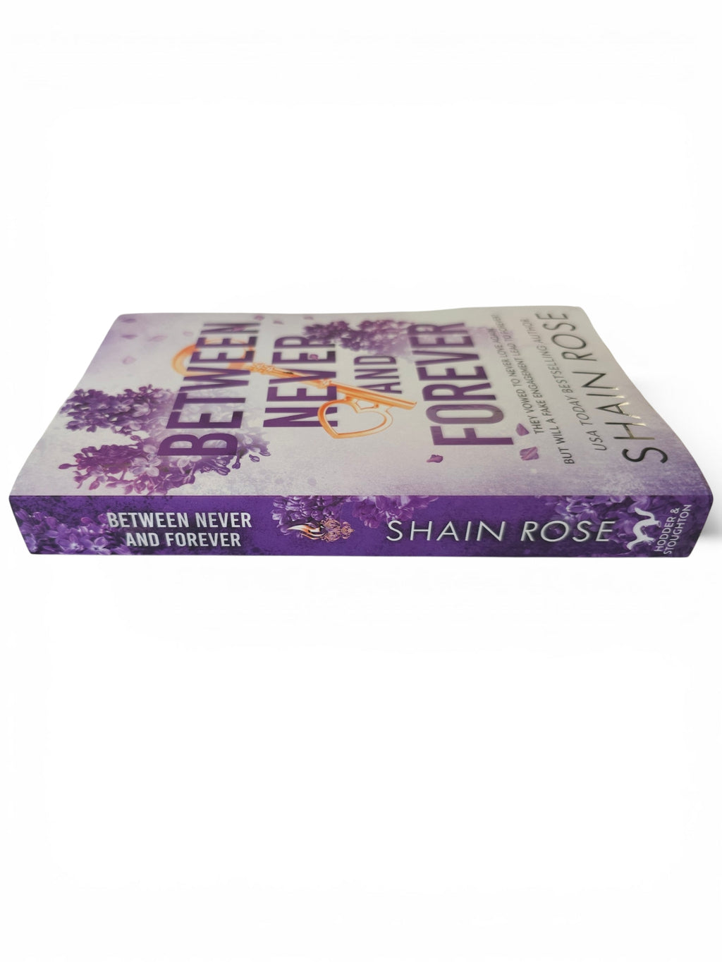 A paperback copy of the book 'Between Never and Forever' by Shain Rose, showing the front cover and spine against a plain white background.
