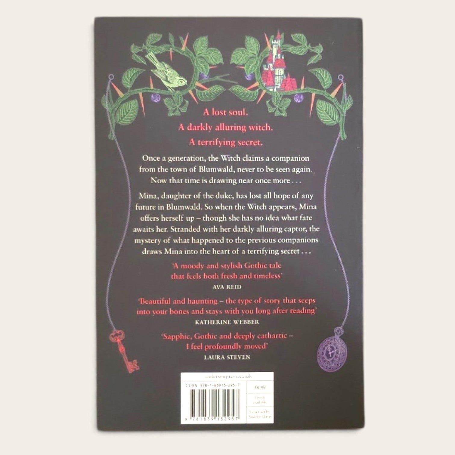 The back cover of a book featuring a dark charcoal background with a whimsical illustration of a green forest, a pink castle, and a purple witch's staff and cauldron. 'A Darkly Alluring Witch' is written in red at the top, followed by the synopsis and several quote blocks.
