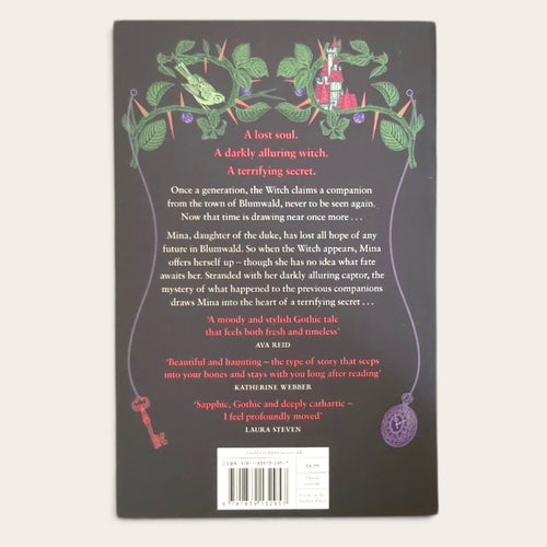 The back cover of a book featuring a dark charcoal background with a whimsical illustration of a green forest, a pink castle, and a purple witch's staff and cauldron. 'A Darkly Alluring Witch' is written in red at the top, followed by the synopsis and several quote blocks.