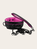 Pink and Black leash and collar 