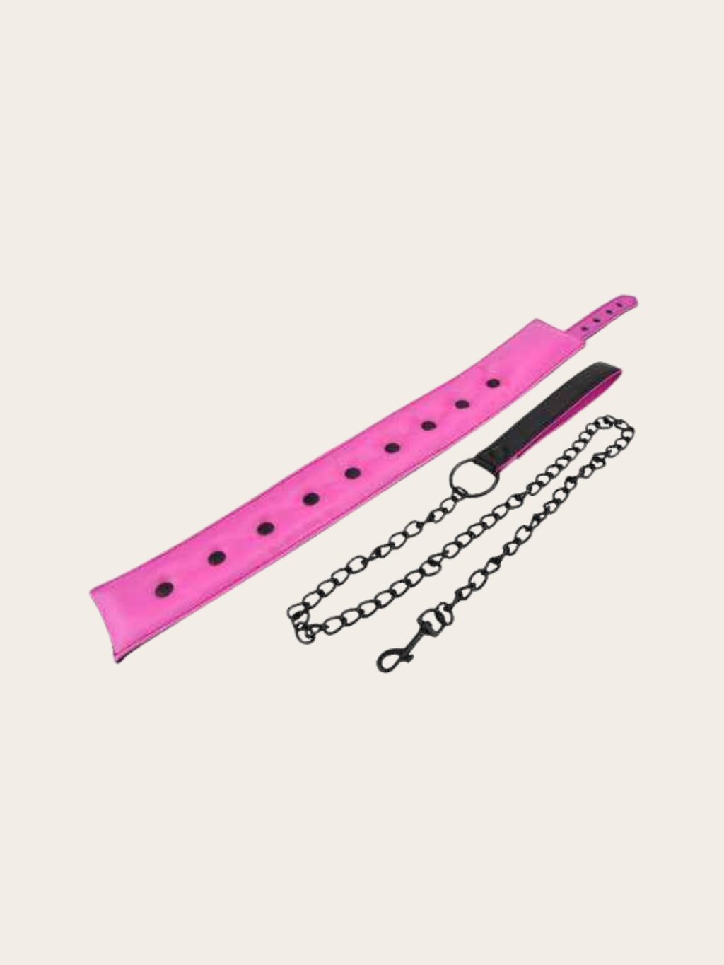 Pink and Black leash and collar