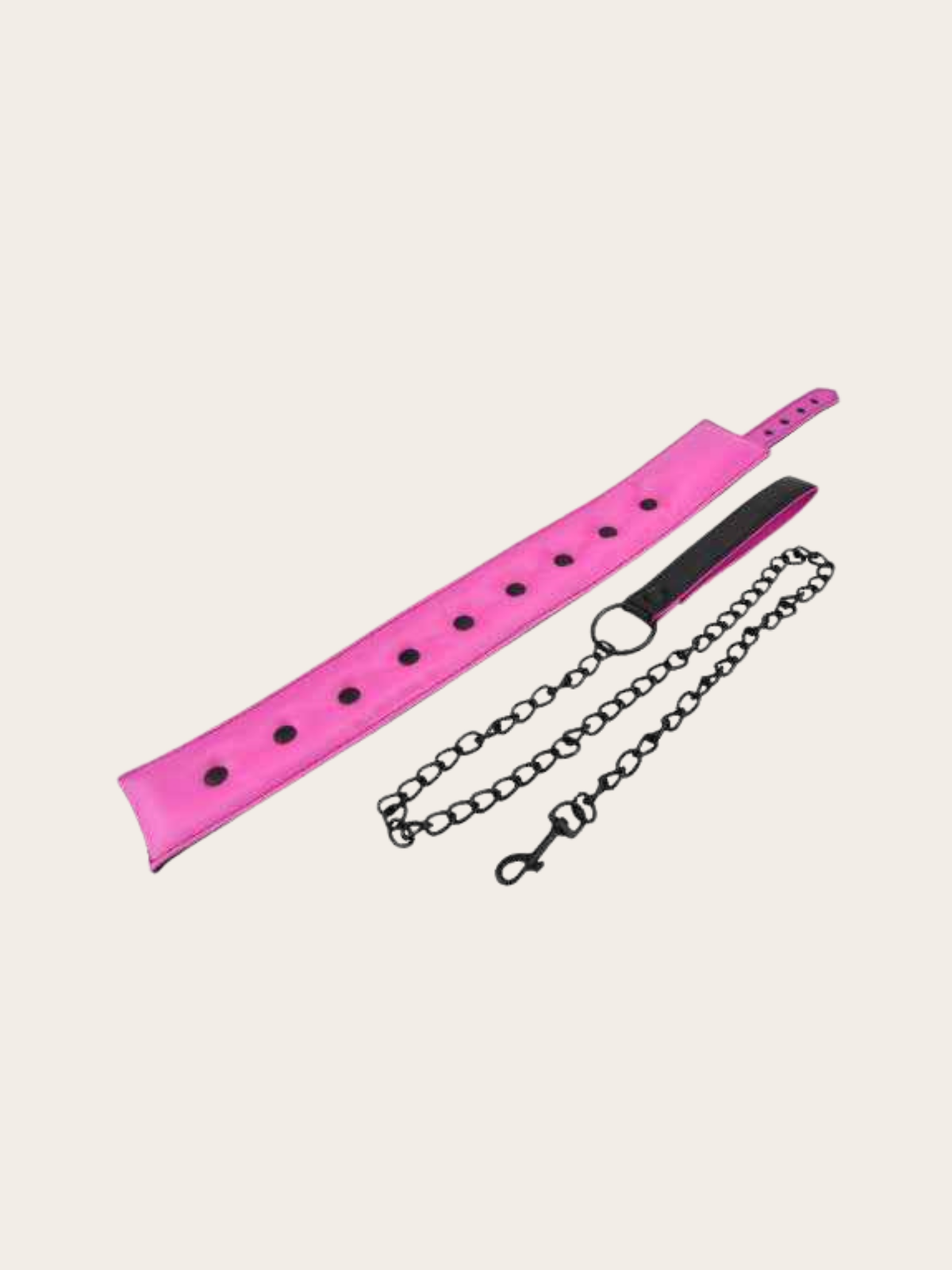 Pink and Black leash and collar