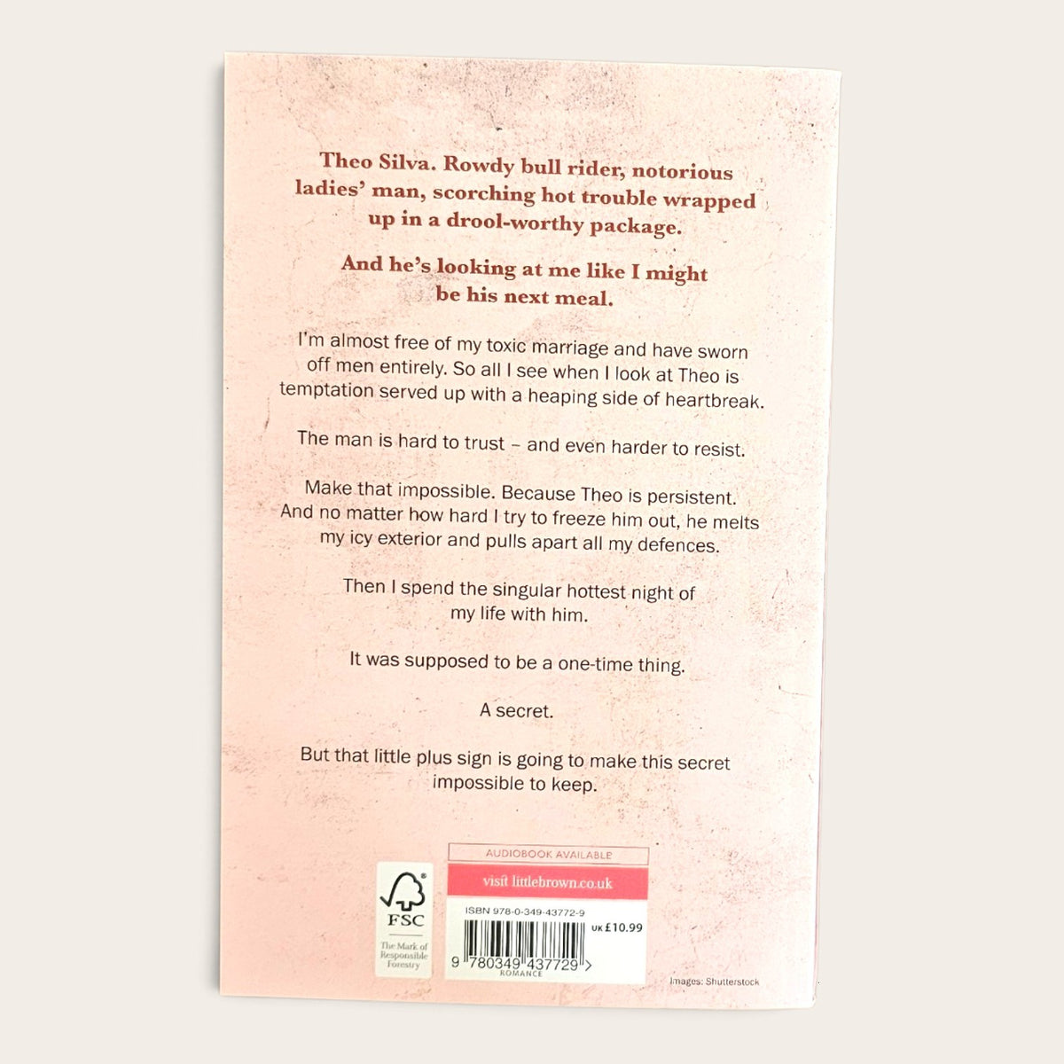 Back cover of reckless by elsie silver, from the chestnut springs series